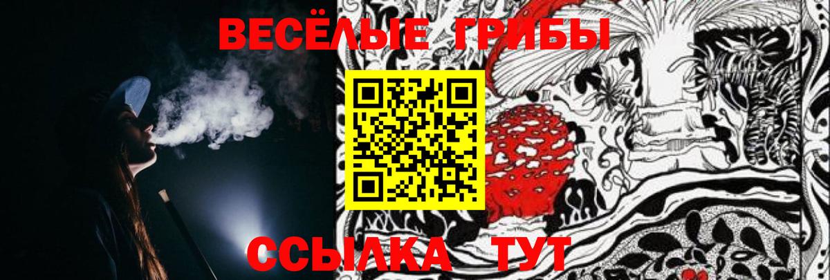 Псилоцибиновые грибы Psilocybe Соликамск